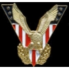 USA UNITED STATES VICTORY EAGLE DX PIN